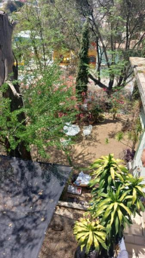 La peña del colibrí